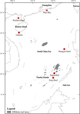 Diazotroph Diversity Associated With Scleractinian Corals and Its Relationships With Environmental Variables in the South China Sea